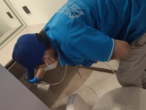 地毯也會引起甲醛超標嗎？